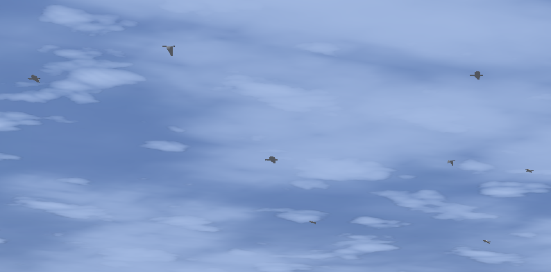File:Sea Gulls 2.png