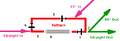 Thumbnail for version as of 09:27, 16 March 2012