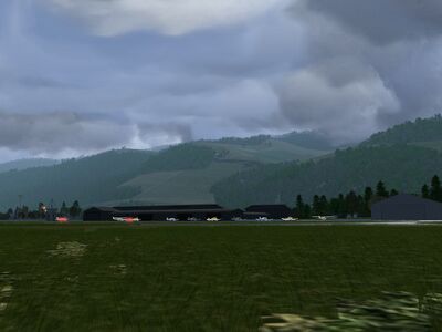 Volumetric grass in summer