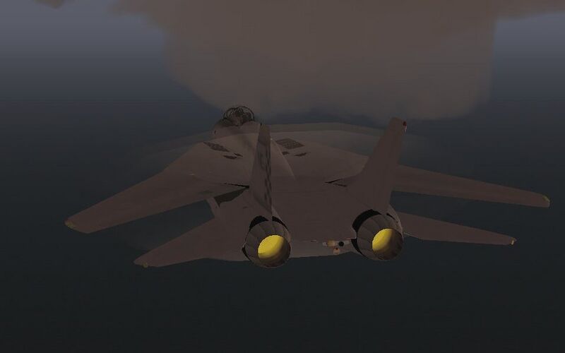 File:F14 transonic.jpg