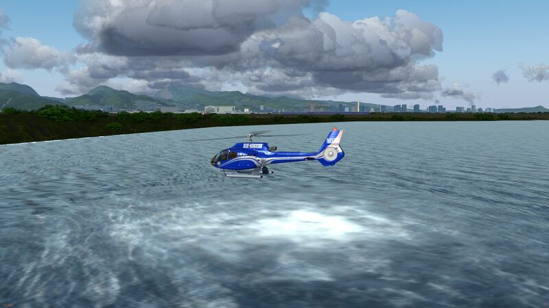 File:H130 RotorWashEffect.jpg