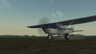 Bush take off