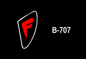 Lake of Constance FG B-707 Background