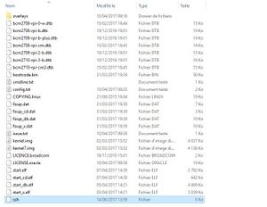 Set SSH file to start sshd daemon at boot