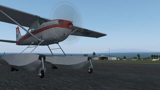 Amphibian variant at Hawaii