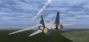 An F-14B with a fired missile.