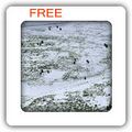 Thumbnail for version as of 05:03, 28 December 2012